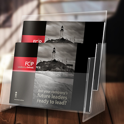 FCIP Brochure